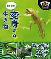 生き物大好きです！ 285UR-Osaka-Shizuku-Senpai-it-